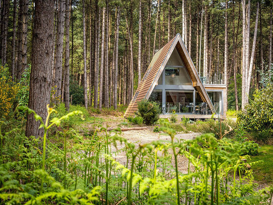 Lizs Lodge at Weybourne Forest Lodges